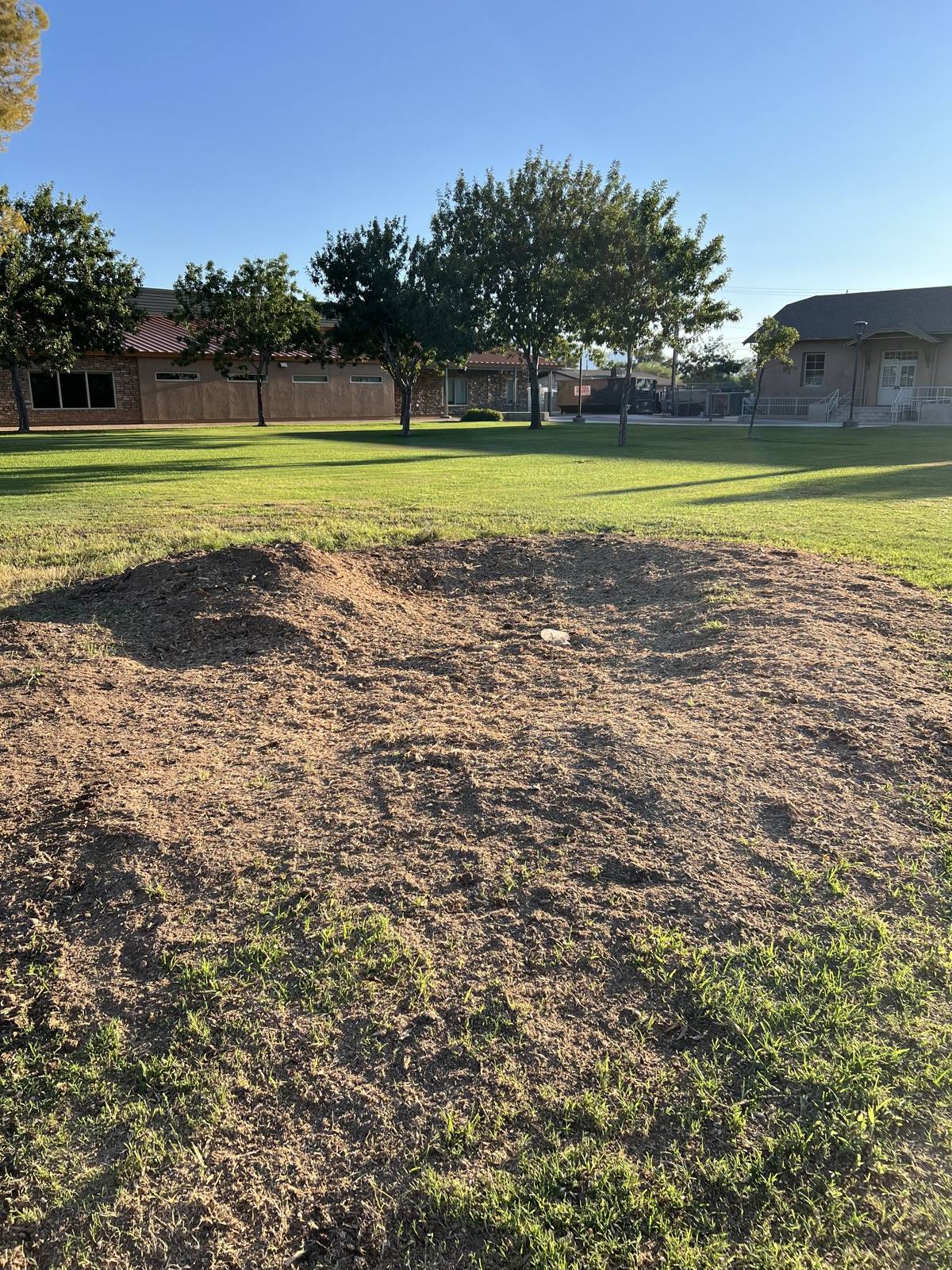 Yard cleared and graded for a new lawn