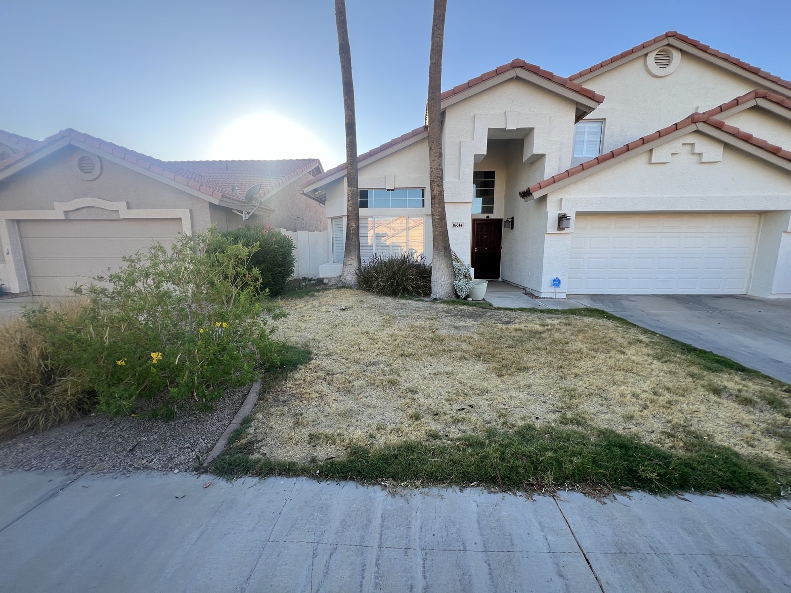 Front yard before a lawn renovation